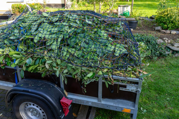 Best Yard Waste Removal  in Springfield, KY